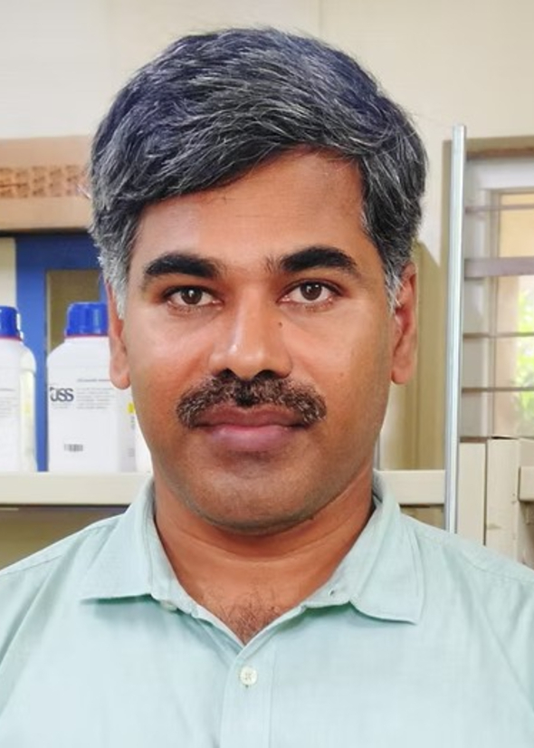 Prof. V. Sridharan